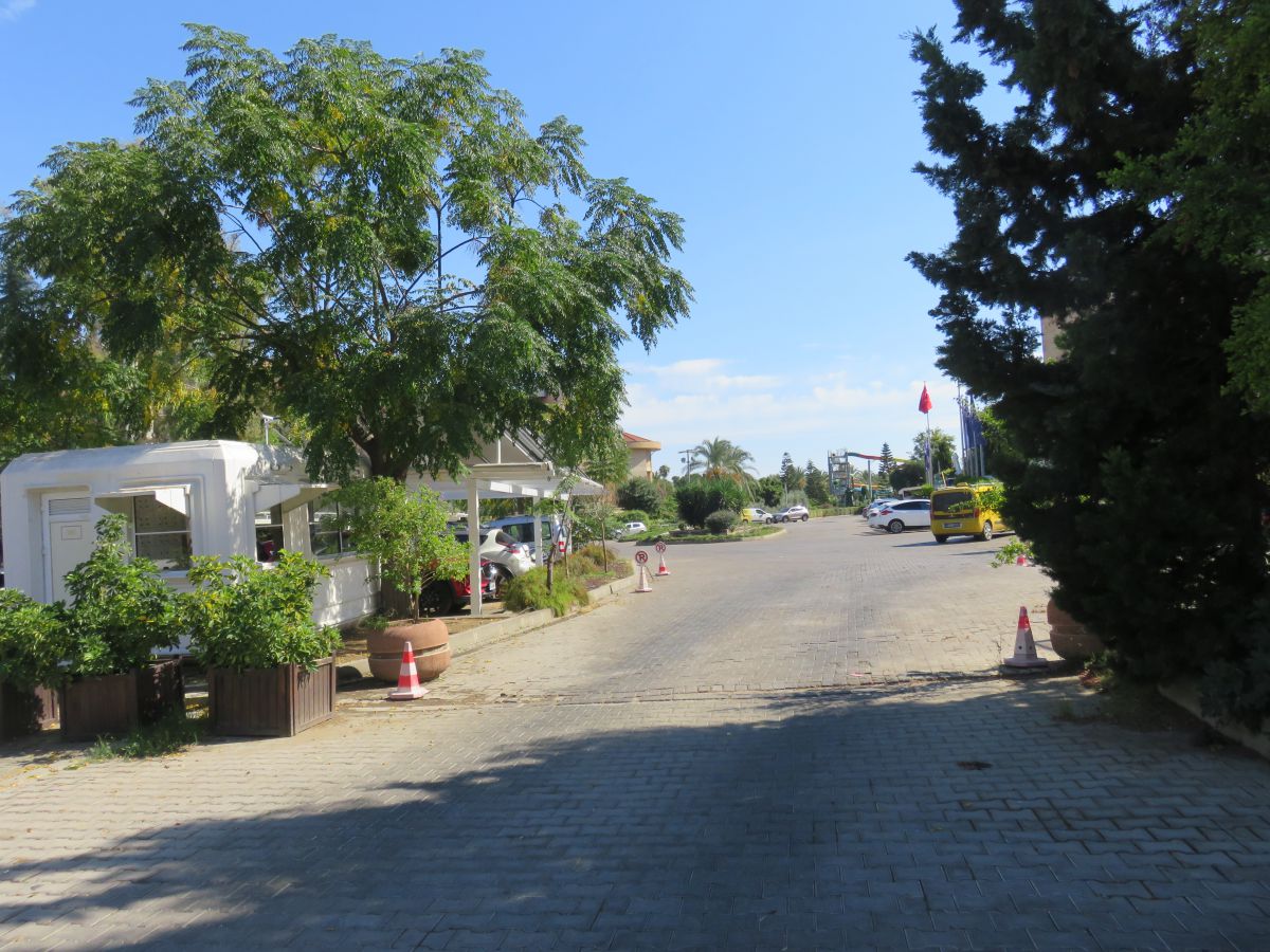 imagini hotel Sentido Trendy Verbena